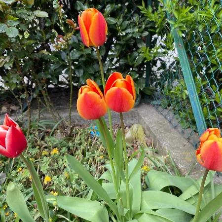 Appartement Semplicita ,relax